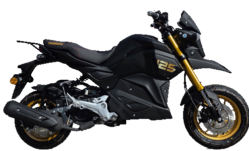 Yamasaki TY125